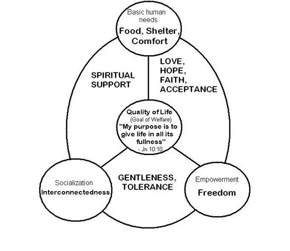 toward an holistic welfare policy